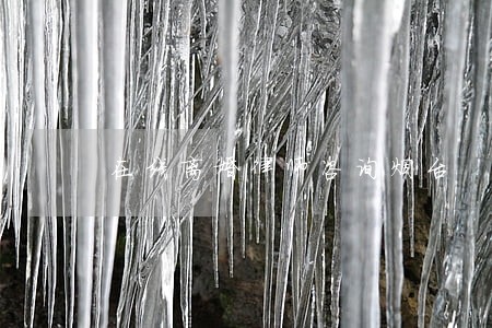 在线离婚律师咨询烟台 在线离婚律师咨询烟台
