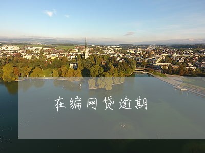 在编网贷逾期 在编网贷逾期
