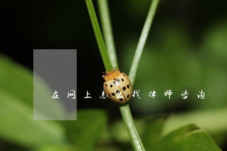 在网上怎么找律师咨询 在网上怎么找律师咨询
