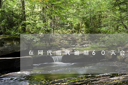 在网代借代逾期60天会怎样 在网代借代逾期60天会怎样
