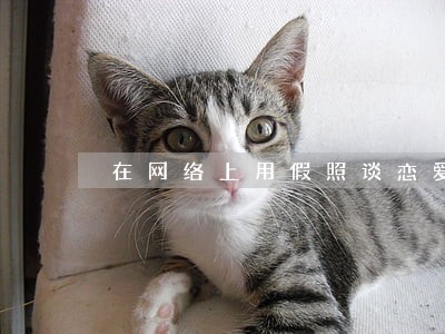 在网络上用假照谈恋爱会不会违法 在网络上用假照谈恋爱会不会违法
