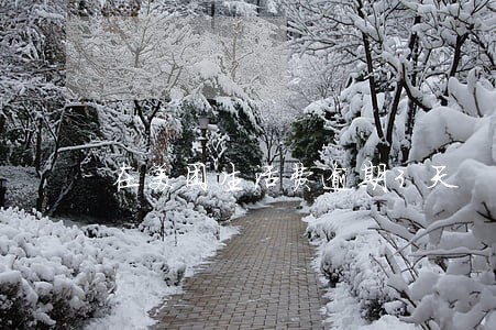 在美团生活费逾期3天 在美团生活费逾期3天