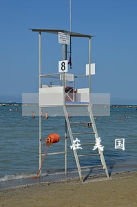在美国了国内信用逾期 在美国了国内信用逾期