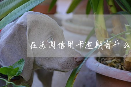 在美国信用卡逾期有什么影响