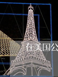 在美国公开评论法院的判决 在美国公开评论法院的判决