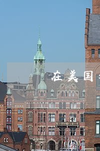 在美国粘鸟是否违法 在美国粘鸟是否违法