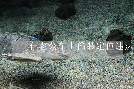 在老公车上偷装定位违法吗