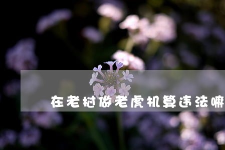 在老挝做老虎机算违法嘛