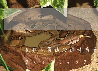 在职人员违法退体有养老金吧/2023020406432 在职人员违法退体有养老金吧/2023020406432