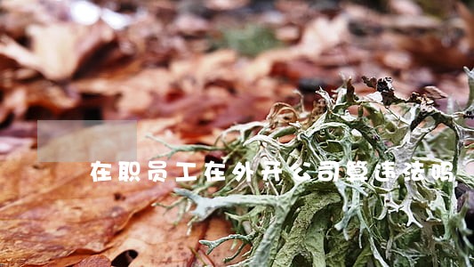 在职员工在外开公司算违法吗 在职员工在外开公司算违法吗
