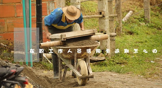 在职工作人员信用卡逾期怎么办 在职工作人员信用卡逾期怎么办