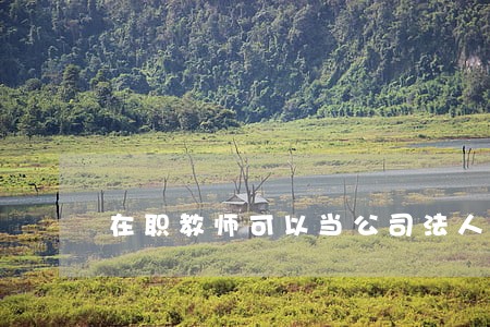在职教师可以当公司法人吗 在职教师可以当公司法人吗