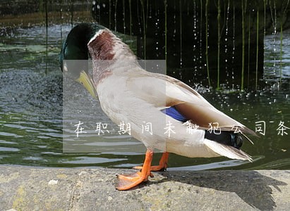 在职期间未触犯公司条例 在职期间未触犯公司条例