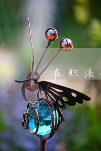 在职法硕律师 在职法硕律师