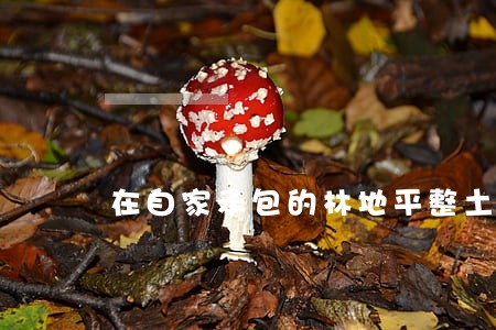 在自家承包的林地平整土地违法吗 在自家承包的林地平整土地违法吗