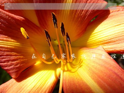 在自己家装隐避监控违法吗 在自己家装隐避监控违法吗