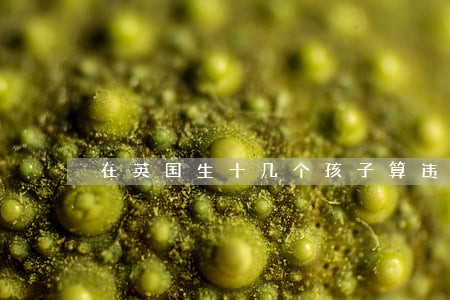 在英国生十几个孩子算违法 在英国生十几个孩子算违法