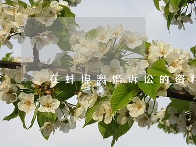 在蚌埠离婚诉讼的资料在那填 在蚌埠离婚诉讼的资料在那填