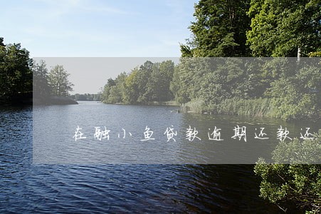 在融小鱼贷款逾期还款还不了 在融小鱼贷款逾期还款还不了