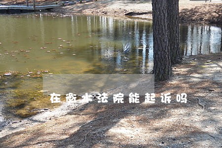 在衡水法院能起诉吗 在衡水法院能起诉吗
