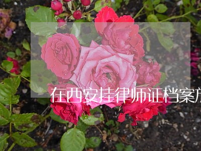 在西安挂律师证档案放在哪里 在西安挂律师证档案放在哪里