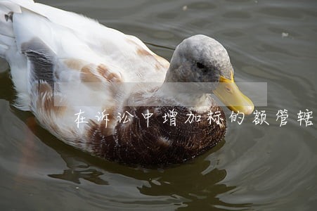 在诉讼中增加标的额管辖 在诉讼中增加标的额管辖