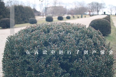 在诉讼中进行了财产保全