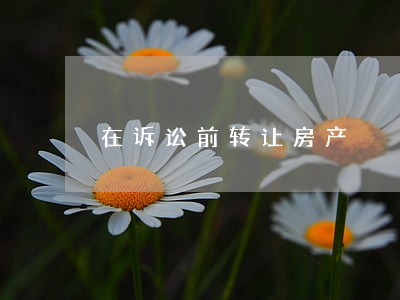 在诉讼前转让房产
