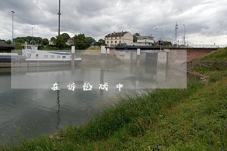 在诉讼状中 在诉讼状中