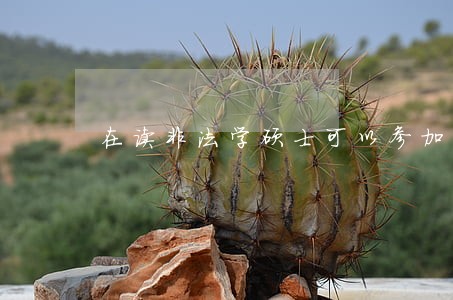 在读非法学硕士可以参加司法考试嘛