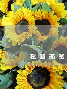在越南签证逾期10个月 在越南签证逾期10个月