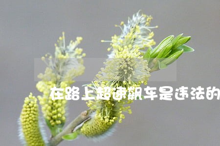 在路上超速飙车是违法的 在路上超速飙车是违法的