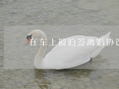 在车上被迫签离婚协议 在车上被迫签离婚协议