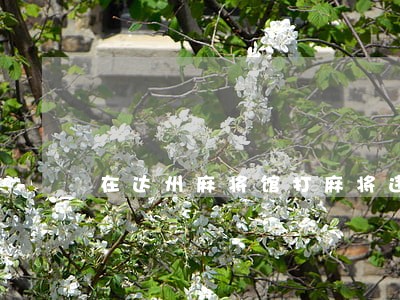 在达州麻将馆打麻将违法吗 在达州麻将馆打麻将违法吗