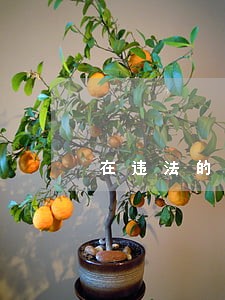 在违法的公司上班