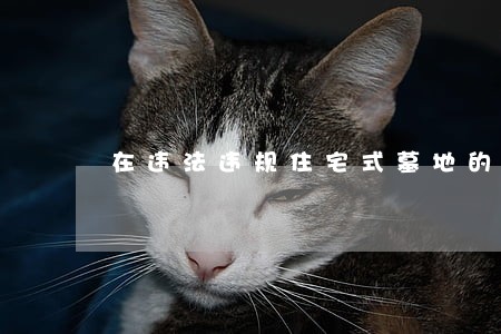 在违法违规住宅式墓地的讲话 在违法违规住宅式墓地的讲话