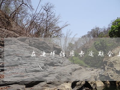 在迪拜信用卡逾期会上黑名单吗 在迪拜信用卡逾期会上黑名单吗
