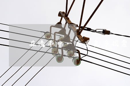 在选举中一人重复多投票是否违法 在选举中一人重复多投票是否违法