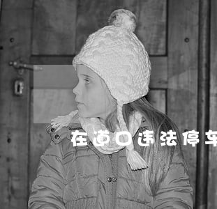 在道口违法停车被查落网 在道口违法停车被查落网
