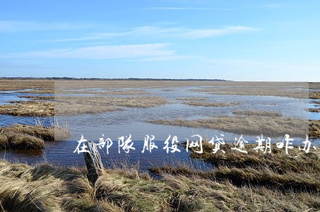 在部队服役网贷逾期咋办 在部队服役网贷逾期咋办