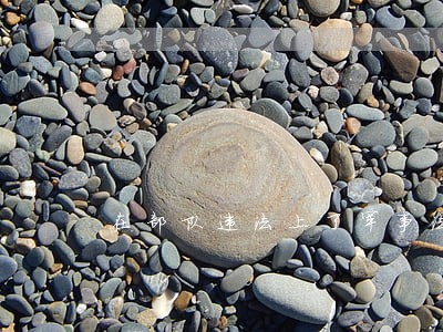 在部队违法上了军事法庭 在部队违法上了军事法庭