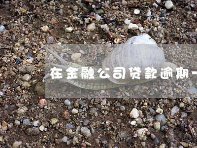 在金融公司贷款逾期一年 在金融公司贷款逾期一年