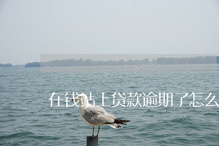 在钱站上贷款逾期了怎么还