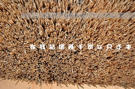 在钱站借两千可以只还本金吗 在钱站借两千可以只还本金吗