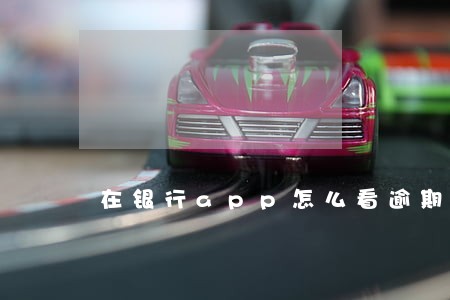 在银行app怎么看逾期记录 在银行app怎么看逾期记录