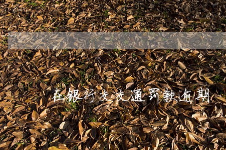 在银行交交通罚款逾期 在银行交交通罚款逾期