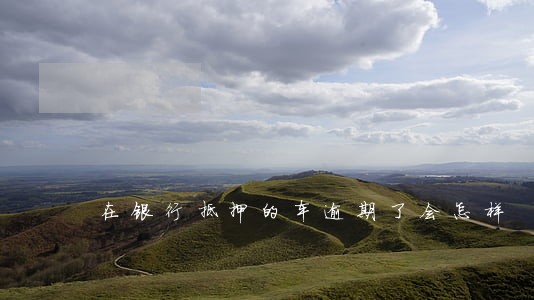 在银行抵押的车逾期了会怎样 在银行抵押的车逾期了会怎样