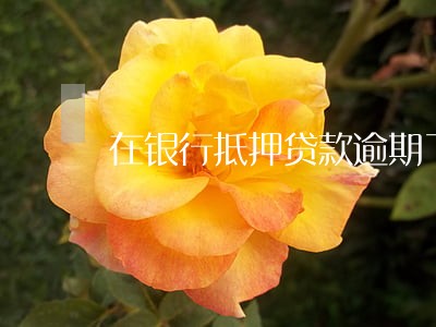 在银行抵押贷款逾期了怎么办 在银行抵押贷款逾期了怎么办