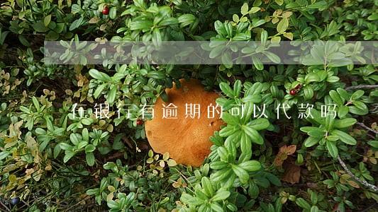 在银行有逾期的可以代款吗 在银行有逾期的可以代款吗