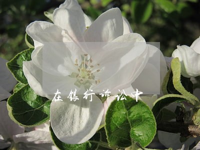 在银行诉讼中 在银行诉讼中